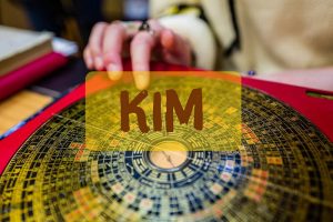 Người mệnh kim trồng cây gì?