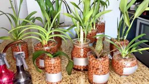 Huong Dan 2 Cach Tron Dat Trong Cay Canh Dung Don Gian Tai Nha Cho Nguoi Moi Choi Cay 3051 5